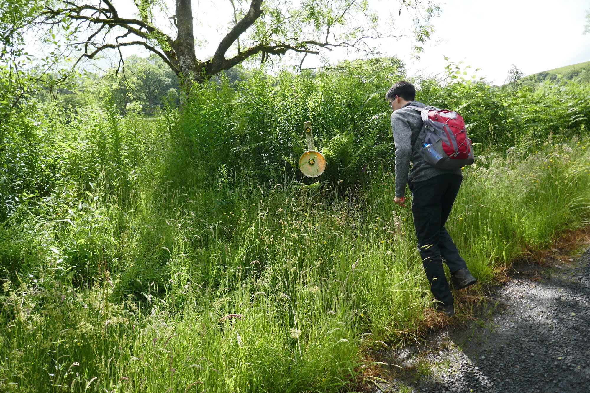 RachelSeabrook.net | Wild Walking | Cwmystwyth | pic06